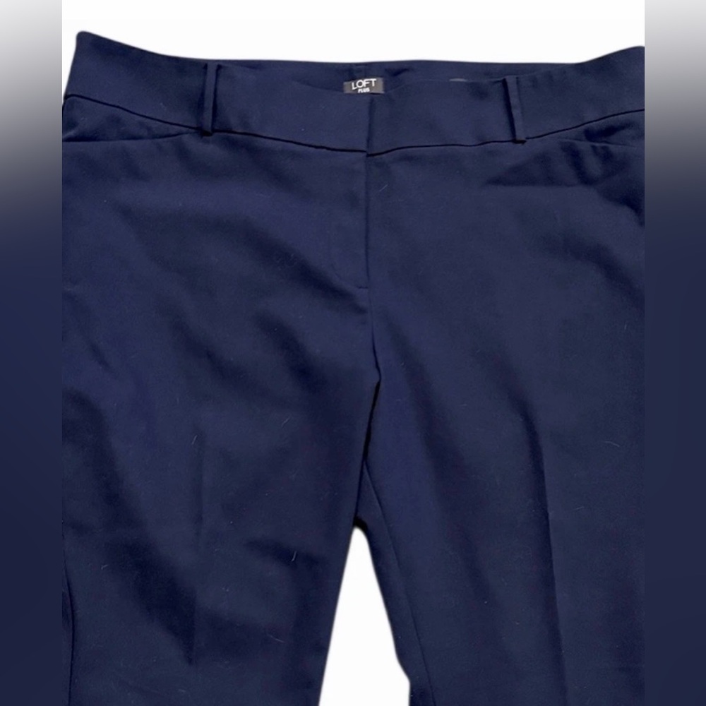 LOFT Womens Plus Size 22 Marisa Skinny Flat Front Button Zip Navy Pocket Pants - Picture 2 of 8